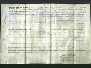 Deed by Married Women - Sophia Randle-Original Ancestry