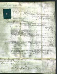 Court of Common Pleas - Ellen Boulton-Original Ancestry