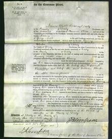 Court of Common Pleas - Rumey Noble-Original Ancestry