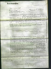 Court of Common Pleas - Elizabeth Watts-Original Ancestry