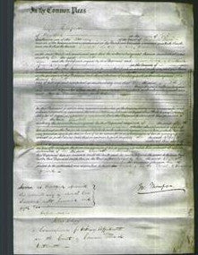 Court of Common Pleas - Elizabeth Brown-Original Ancestry