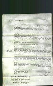 Court of Common Pleas - Jane Redman-Original Ancestry
