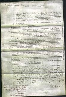 Court of Common Pleas - Maria Reade-Original Ancestry