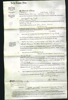 Court of Common Pleas - Emily Buck-Original Ancestry