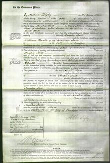 Court of Common Pleas - Amelia Pace-Original Ancestry