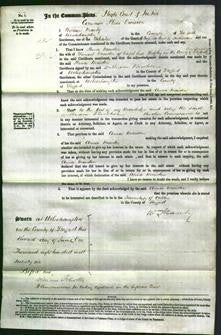 Court of Common Pleas - Anna Maiden-Original Ancestry