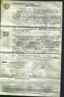 Court of Common Pleas - Ann Powers, Emma Bull, Mary Ann Green-Original Ancestry