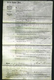 Court of Common Pleas - Eleanor Day-Original Ancestry