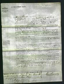 Court of Common Pleas - Catherine Stornton-Original Ancestry