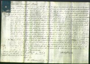 Court of Common Pleas - Margaret Harvey-Original Ancestry