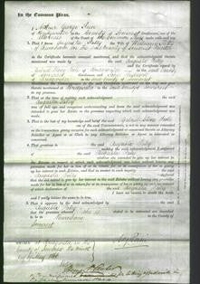 Court of Common Pleas - Augusta Patey-Original Ancestry