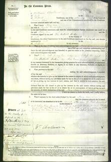 Court of Common Pleas - Mary Ann Brassington-Original Ancestry