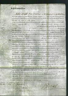 Court of Common Pleas - Martha Green-Original Ancestry