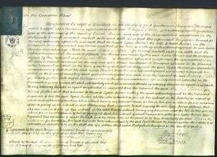 Court of Common Pleas - Lydia Farrar-Original Ancestry