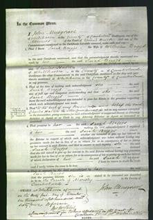 Court of Common Pleas - Sarah Briggs-Original Ancestry