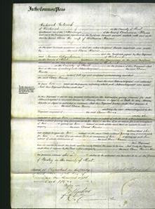 Court of Common Pleas - Ann Reeves-Original Ancestry