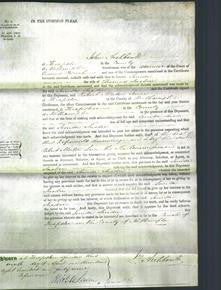 Court of Common Pleas - Louisa Snodin-Original Ancestry