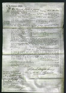 Court of Common Pleas - Amor Augusta Standing-Original Ancestry