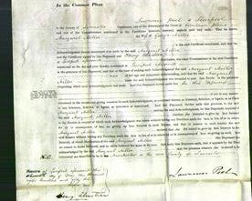 Court of Common Pleas - Margaret Miller-Original Ancestry