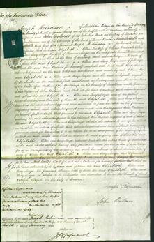 Court of Common Pleas - Elizabeth Allen, Lucy Moyse-Original Ancestry