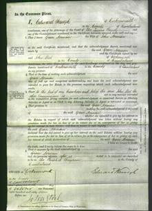 Court of Common Pleas - Grace Norman-Original Ancestry