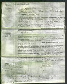 Court of Common Pleas - Charlotte Ann Poignand-Original Ancestry