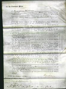Court of Common Pleas - Mary Ann Major-Original Ancestry
