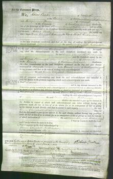 Court of Common Pleas - Ann Elizabeth Richardson-Original Ancestry
