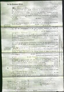 Court of Common Pleas - Louisa Prin-Original Ancestry