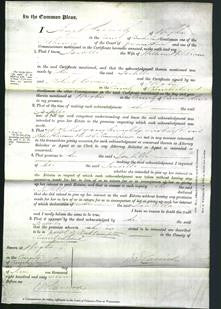 Court of Common Pleas - Isabella Wilkinson-Original Ancestry