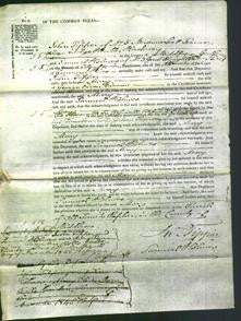 Court of Common Pleas - Mary Evans-Original Ancestry