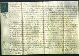 Court of Common Pleas - Sarah Clark-Original Ancestry