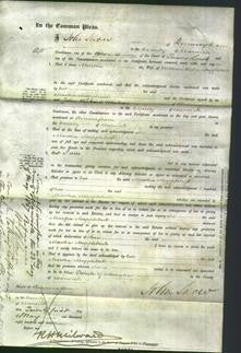 Court of Common Pleas - Martha Mapplebeck-Original Ancestry