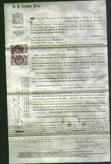 Court of Common Pleas - Frances Pritchard-Original Ancestry