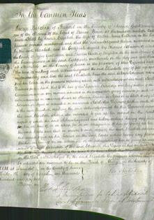 Court of Common Pleas - Elizabeth Calhoun-Original Ancestry