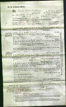 Court of Common Pleas - Henrietta Elizabeth Hickman Martin-Original Ancestry