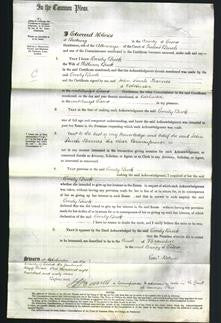 Court of Common Pleas - Emily Buck-Original Ancestry