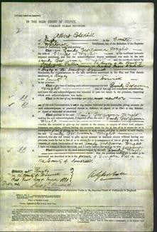 Court of Common Pleas - Emily Georgianna Wright-Original Ancestry