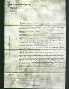 Court of Common Pleas - Mary Ann Payne-Original Ancestry