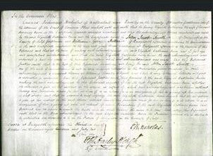 Court of Common Pleas - Elizabeth Catherine Owen-Original Ancestry