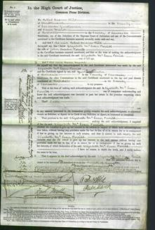 Court of Common Pleas - Elizabeth McLean Porritt-Original Ancestry