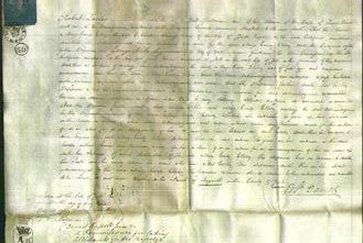 Court of Common Pleas - Mary Emily Elsley-Original Ancestry