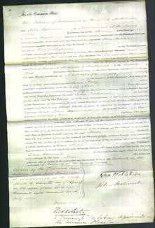 Court of Common Pleas - Ann Shipway-Original Ancestry