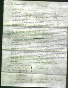 Court of Common Pleas - Sarah Morgan-Original Ancestry
