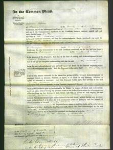 Court of Common Pleas - Dorothy Waterson-Original Ancestry