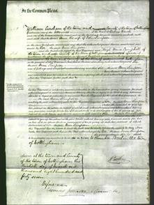 Court of Common Pleas - Ann Simpson-Original Ancestry
