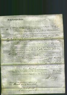 Court of Common Pleas - Elizabeth Wordsworth-Original Ancestry