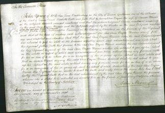 Court of Common Pleas - Ann Bryan Warner-Original Ancestry