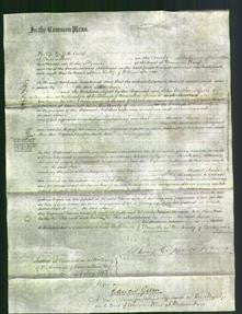 Court of Common Pleas - Anne Morgan-Original Ancestry