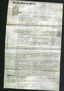 Court of Common Pleas - Sarah Jane Reeves, Isabella Reeves-Original Ancestry